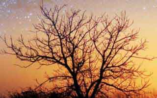 Accenture: What They Actually Do, Their Stock, and the AI Hype – What Reddit is Saying