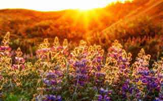 S&P 500 to 7,000, Trump's Fed Pick, & a Key Election: What it means for markets and policy